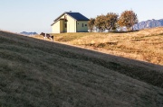 Piazza Brembana - Passo S. Marco per creste-5